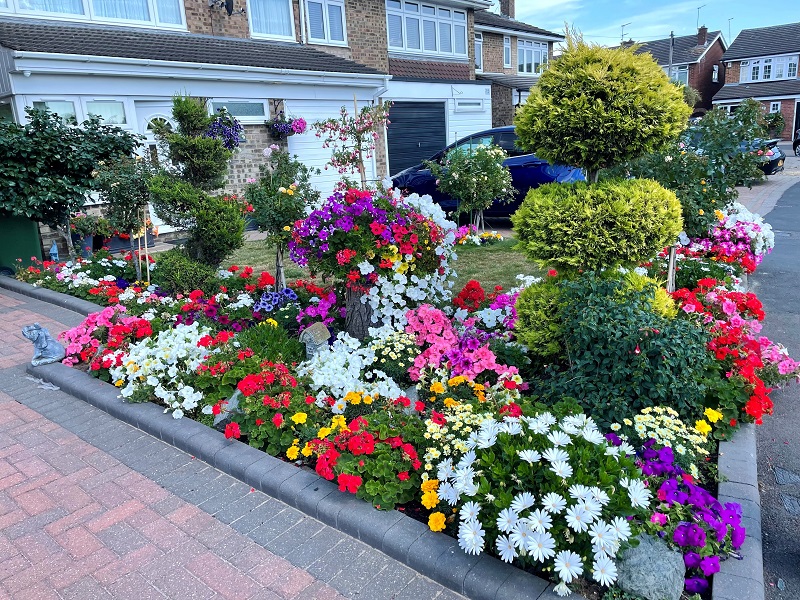 Image of front garden in full bloom