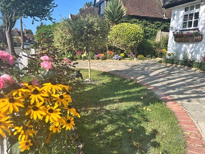 Havering In Bloom 2024  Paul Highman Best Front Garden