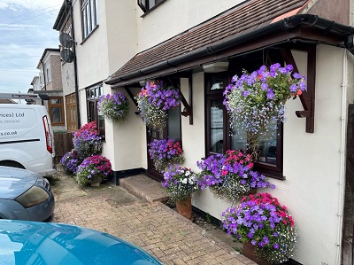 Havering In Bloom 2024  Ron Nicklin Best Hanging Basket