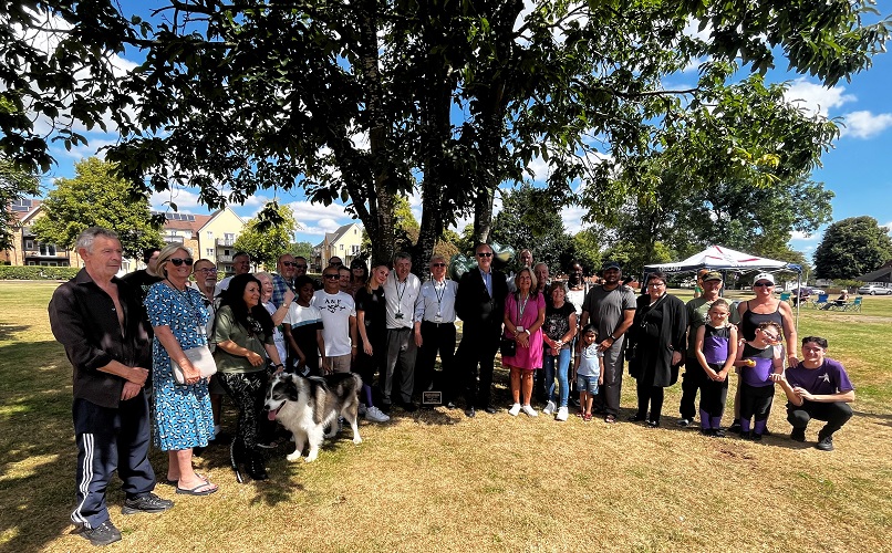 Shows group of people under the shade of a tree